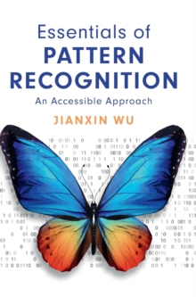 Essentials Of Pattern Recognition : An Accessible Approach