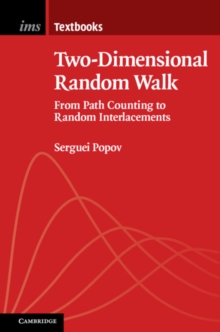 Two-Dimensional Random Walk : From Path Counting to Random Interlacements