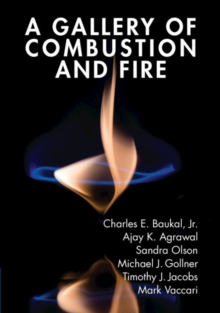 A Gallery of Combustion and Fire