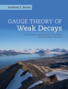 Gauge Theory of Weak Decays : The Standard Model and the Expedition to New Physics Summits