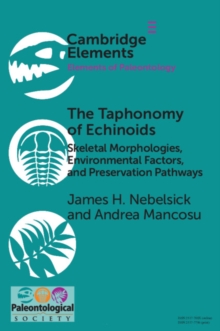 Taphonomy of Echinoids : Skeletal Morphologies, Environmental Factors, and Preservation Pathways