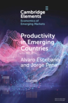 Productivity in Emerging Countries : Methodology and Firm-Level Analysis based on International Enterprise Business Surveys