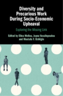 Diversity and Precarious Work During Socio-Economic Upheaval : Exploring the Missing Link