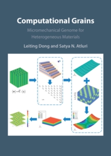 Computational Grains : Micromechanical Genome for Heterogeneous Materials