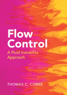 Flow Control : A Fluid Instability Approach