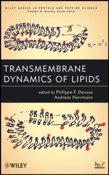 Transmembrane Dynamics of Lipids