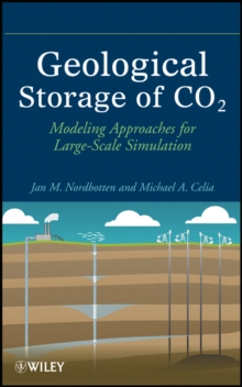 Geological Storage of CO2 : Modeling Approaches for Large-Scale Simulation