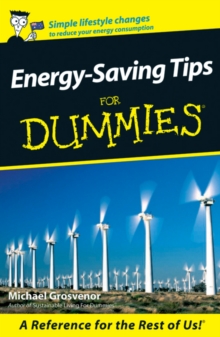 Energy-Saving Tips For Dummies