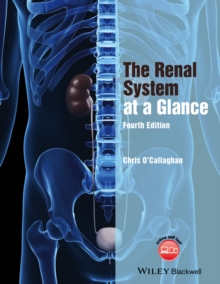 The Renal System At A Glance