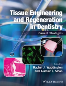 Tissue Engineering and Regeneration in Dentistry : Current Strategies, Paperback / softback Book Tissue Engineering and Regeneration in Dentistry : Current Strategies, Paperback / softback Book