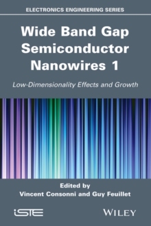 Wide Band Gap Semiconductor Nanowires 1 : Low-Dimensionality Effects and Growth