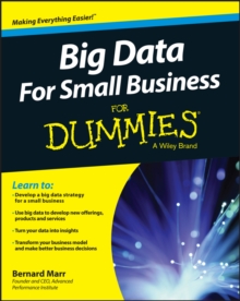 Big Data For Small Business For Dummies