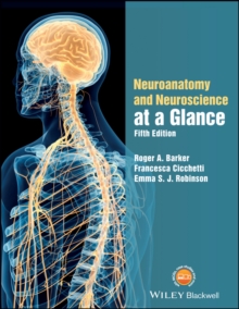 Neuroanatomy and Neuroscience at a Glance