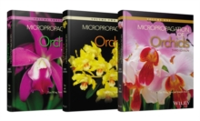 Micropropagation of Orchids