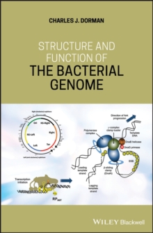 Structure and Function of the Bacterial Genome