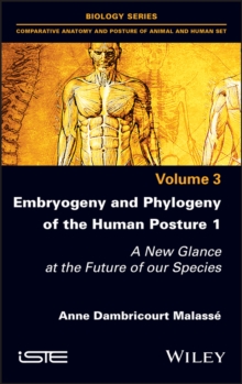 Embryogeny and Phylogeny of the Human Posture 1 : A New Glance at the Future of our Species