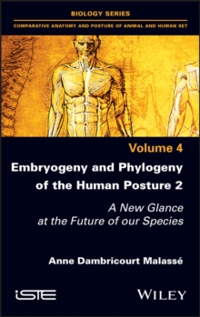 Embryogeny and Phylogeny of the Human Posture 2 : A New Glance at the Future of our Species