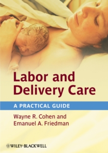 Labor and Delivery Care : A Practical Guide