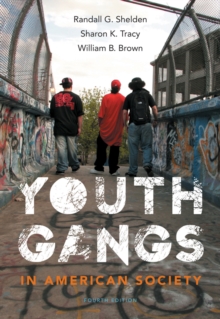 Youth Gangs in American Society, Paperback / softback Book Youth Gangs in American Society, Paperback / softback Book