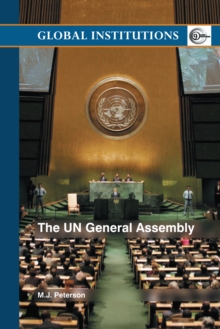 The UN General Assembly