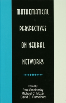 Mathematical Perspectives on Neural Networks