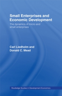 Small Enterprises and Economic Development : The Dynamics of Micro and Small Enterprises