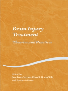 Brain Injury Treatment : Theories and Practices