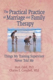 The Practical Practice of Marriage and Family Therapy : Things My Training Supervisor Never Told Me