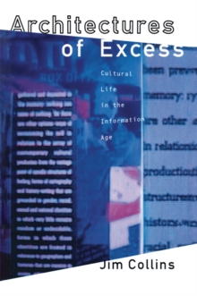 Architectures of Excess : Cultural Life in the Information Age