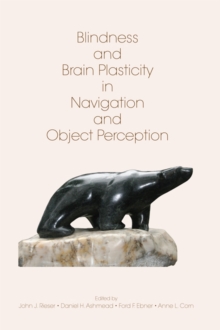 Blindness and Brain Plasticity in Navigation and Object Perception