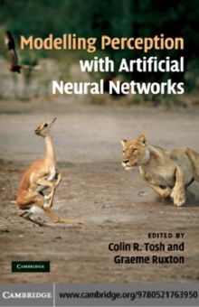 Modelling Perception with Artificial Neural Networks