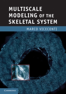 Multiscale Modeling of the Skeletal System