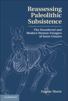 Reassessing Paleolithic Subsistence : The Neandertal and Modern Human Foragers of Saint-Cesaire