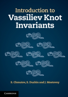 Introduction to Vassiliev Knot Invariants