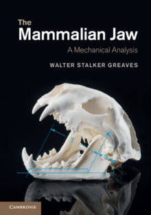 The Mammalian Jaw : A Mechanical Analysis