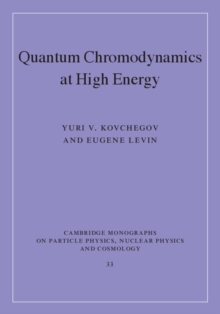 Quantum Chromodynamics at High Energy