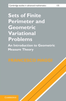 Sets of Finite Perimeter and Geometric Variational Problems : An Introduction to Geometric Measure Theory