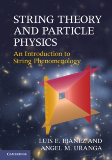 String Theory and Particle Physics : An Introduction to String Phenomenology