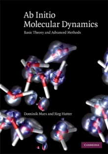 Ab Initio Molecular Dynamics : Basic Theory and Advanced Methods