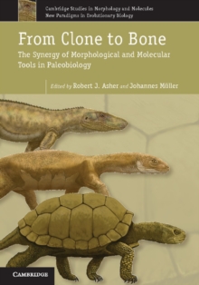 From Clone to Bone : The Synergy of Morphological and Molecular Tools in Palaeobiology