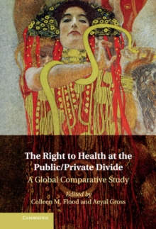 Right to Health at the Public/Private Divide : A Global Comparative Study