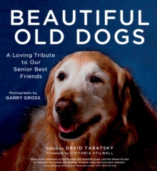 Beautiful old dogs, Hardback Book Beautiful old dogs, Hardback Book