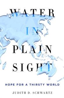 Water in Plain Sight, Hardback Book Water in Plain Sight, Hardback Book