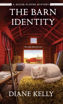 The Barn Identity : A House-Flipper Mystery