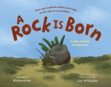 A Rock Is Born : An Epic Journey Through Time