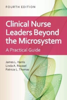 Clinical Nurse Leaders Beyond the Microsystem : A Practical Guide