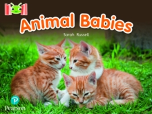 Bug Club Reading Corner: Age 4-7: Animal Babies