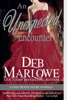 Unexpected Encounter ( Half Moon House, Novella 1)