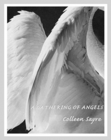 Gathering of Angels