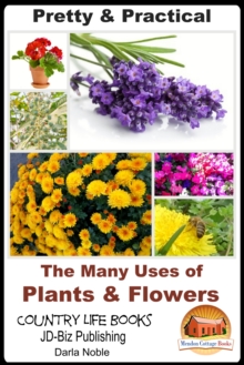 Pretty & Practical: The Many Uses of Plants & Flowers